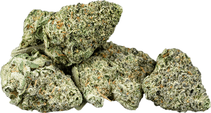 Animal Gas