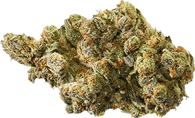 Blue Haze