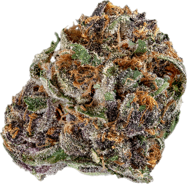 Mimosa