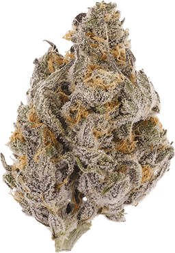 Wedding Kush