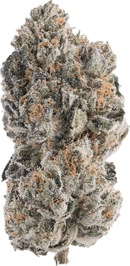 Orange Sherb