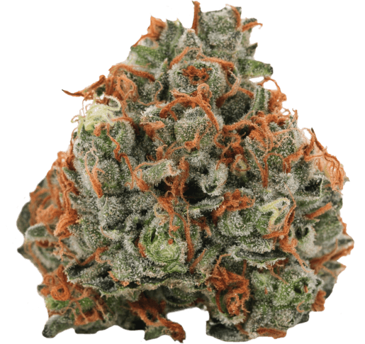 Casey Jones